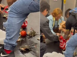 मेट्रो में महिला के बैग से अचानक गिरने लगे ज़िंदा केकड़े, घबरा गए यात्री, आगे जो हुआ, 2 करोड़ से ज्यादा लोगों ने देखा