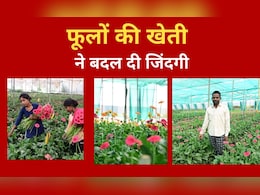 Gerbera Flowers की खेती ने बदल दी इस किसान की किस्मत, सालाना 20 से 25 लाख रुपये तक कमा रहे हैं मुनाफा