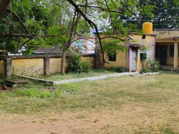 156 स्कूलों में बनाए गए किचन गार्डन से फलदार पौधे गायब, 7 साल बीत जाने के बाद भी फर्म को नहीं मिली राशि