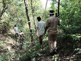 उदयपुर के आदमखोर को पकड़ने के लिए वन विभाग ने अपनाई ये 10 तरकीबें, अभी तक पकड़ में नहीं आया लेपर्ड उदयपुर के आदमखोर को पकड़ने के लिए वन विभाग ने अपनाई ये 10 तरकीबें, अभी तक पकड़ में नहीं आया लेपर्ड