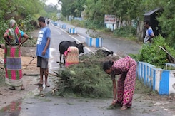 Trees Uprooted, Heavy Rain In Odisha As Cyclone Dana Makes Landfall Trees Uprooted, Heavy Rain In Odisha As Cyclone Dana Makes Landfall
