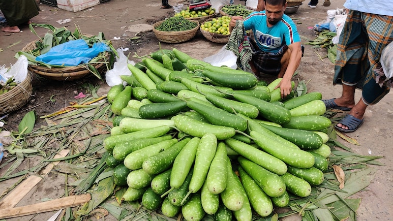 इन 5 लोगों को भूलकर भी नहीं खानी चाहिए लौकी