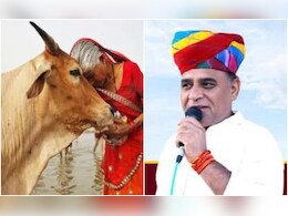 Rajasthan Politics: राजस्थान में गाय को 'राज्य माता' घोषित करने की मांग, BJP विधायक ने CM भजनलाल शर्मा को लिखा पत्र