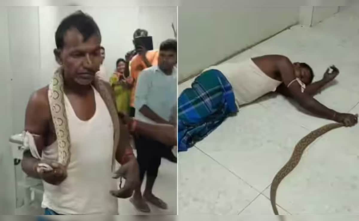 Latest and Breaking News on NDTV