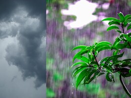 MP Weather News: बेवफा हुआ मौसम! कहीं तेज धूप तो कहीं तेज बारिश, भोपाल और इंदौर में बरसेंगे बादल