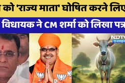 Sikar News: गाय को 'राज्य माता' घोषित करने लिए BJP विधायक ने CM Bhajan Lal Sharma  को लिखा पत्र Sikar News: गाय को 'राज्य माता' घोषित करने लिए BJP विधायक ने CM Bhajan Lal Sharma  को लिखा पत्र