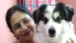 Delhi Couple's Pet Boarding Nightmare: Dog Dragged Behind Bike, Found Dead