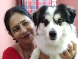 Delhi Couple's Pet Boarding Nightmare: Dog Dragged Behind Bike, Found Dead Delhi Couple's Pet Boarding Nightmare: Dog Dragged Behind Bike, Found Dead
