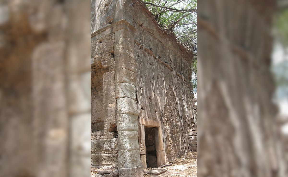 Latest and Breaking News on NDTV