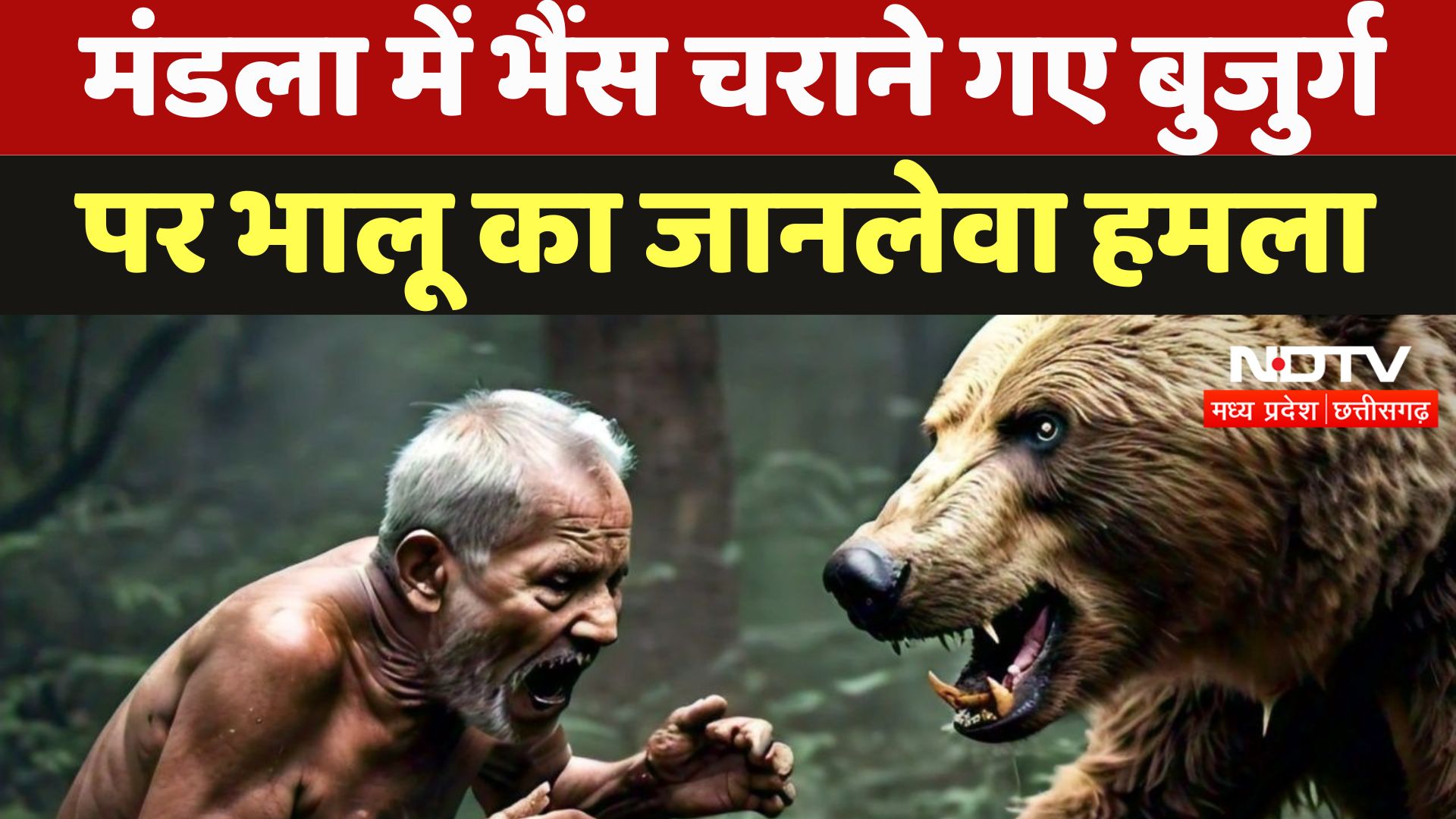 Madhya Pradesh News : Mandala में भैंस चराने गए बुजुर्ग पर भालू का जानलेवा हमला | Breaking News