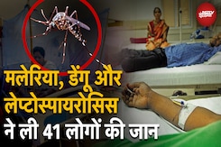Seasonal Diseases: बरसती बिमारियों का कहर! Malaria, Dengue और Leptospirosis ने ली 41 लोगों की जान Seasonal Diseases: बरसती बिमारियों का कहर! Malaria, Dengue और Leptospirosis ने ली 41 लोगों की जान