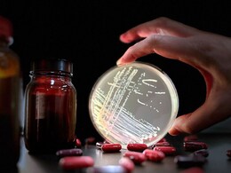 लाइलाज सुपरबग के बढ़ने में मददगार आम एंटीबायोटिक की हुई पहचान