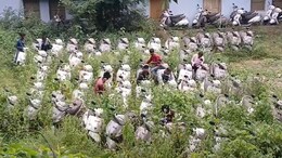 Rajasthan: मंत्री की घोषणा के 60 दिन बाद भी नहीं बंटी स्कूटी, खुले आसमान में हो रहीं कबाड़; 2 साल से इंतजार में मेधावी छात्राएं