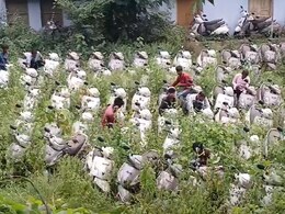 Rajasthan: मंत्री की घोषणा के 60 दिन बाद भी नहीं बंटी स्कूटी, खुले आसमान में हो रहीं कबाड़; 2 साल से इंतजार में मेधावी छात्राएं