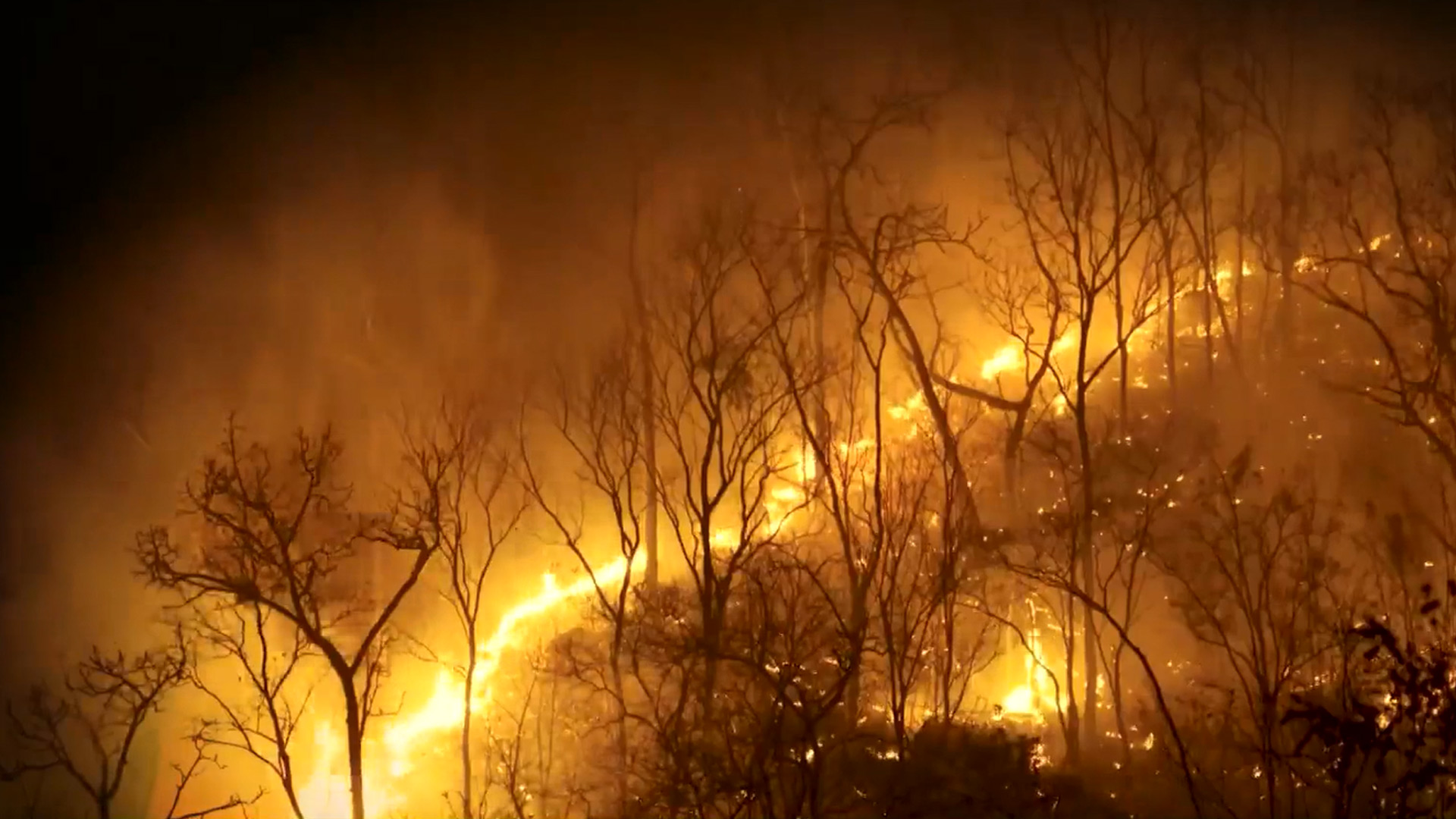 Climate Change Devastates The World: When Will Developed Nations Wake Up?