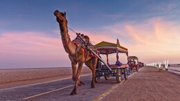 Rann Utsav: The Best Time To Visit Gujarat and Explore The Breathtaking Rann Of Kutch