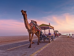Rann Utsav: The Best Time To Visit Gujarat and Explore The Breathtaking Rann Of Kutch
