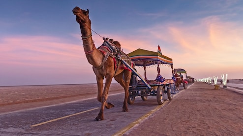 From Rann Utsav To Surajkund Craft Mela: 10 Unmissable Winter Festivals In India