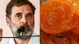 Haryana Elections Results : हरियाणातील भाजपाच्या विजयानंतर राहुल गांधी आणि जिलबीची का होतीय चर्चा?