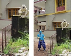 काले मुंह वाले लंगूर और अलादीन के जिन्न की जुगलबंदी, डांस का वायरल वीडियो देख यूजर्स ने पूछा- क्या पिएगा काले मुंह वाले लंगूर और अलादीन के जिन्न की जुगलबंदी, डांस का वायरल वीडियो देख यूजर्स ने पूछा- क्या पिएगा