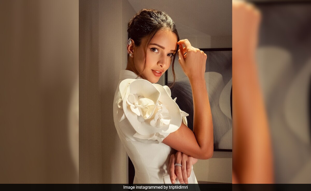 Triptii Dimri On Being Trolled For Dance Moves In <i>Mere Mehboob</i>: "Can't Be Good At Everything"