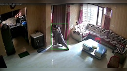 On CCTV, Punjab Woman Blocks Door With All Her Might, Sends Robbers Fleeing