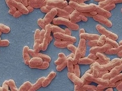 Reporting Leprosy Now Mandatory In Maharashtra, Mandate To Curb Spread