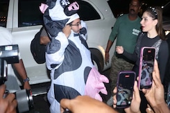 'Moo'-ving Into Halloween: Orry's Cow-tastic Costume Is The Centre Of Attention 'Moo'-ving Into Halloween: Orry's Cow-tastic Costume Is The Centre Of Attention