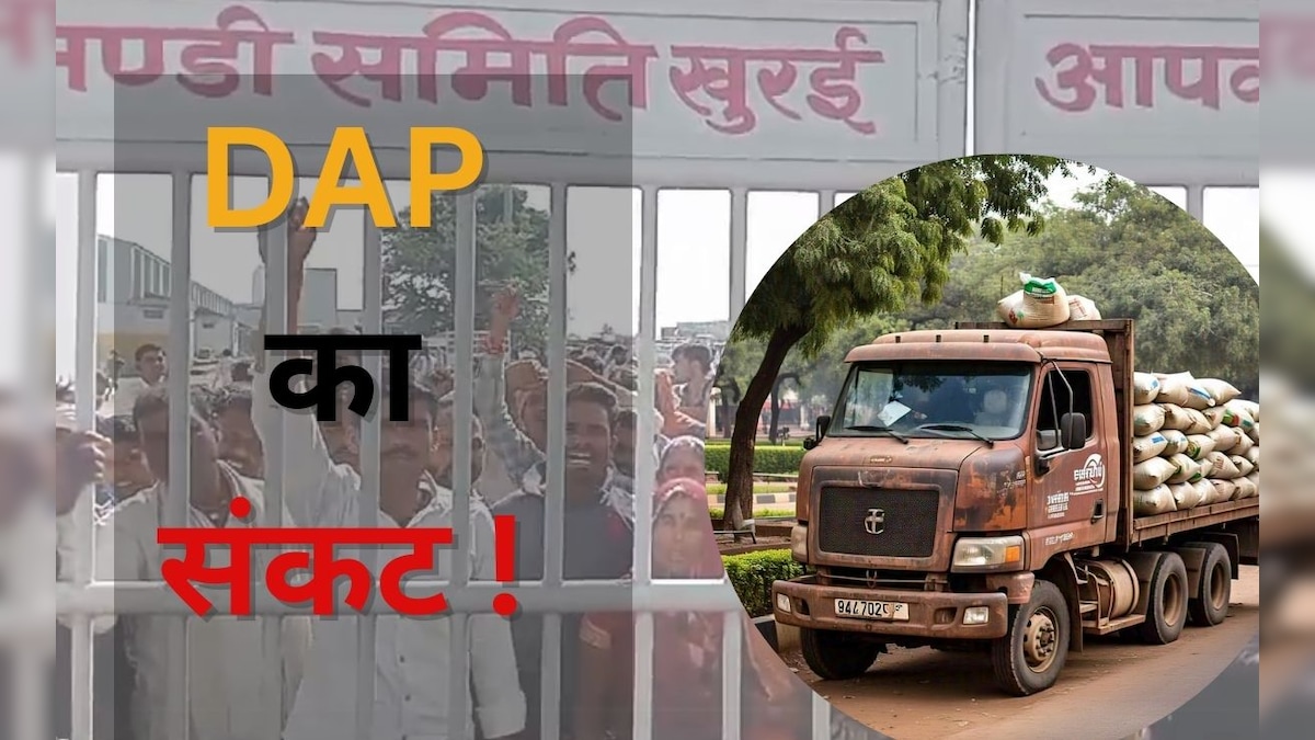 MP में खाद संकट के पीछे क्या है बड़ी वजह? समझिए, DAP की पूरी ABCD