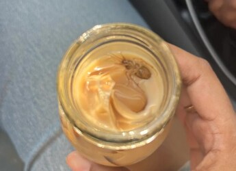 Delhi Customer Reports Cockroach In Coffee From L'Opera, Bakery Responds Delhi Customer Reports Cockroach In Coffee From L'Opera, Bakery Responds