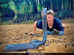 South Africa's Steve Irwin, Graham 'Dingo' Dinkelman, Dies After Snake Bite South Africa's Steve Irwin, Graham 'Dingo' Dinkelman, Dies After Snake Bite
