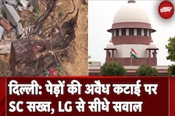 Delhi Ridge में पेड़ों की अवैध कटाई पर Supreme Court ने दिखाई सख्ती Delhi Ridge में पेड़ों की अवैध कटाई पर Supreme Court ने दिखाई सख्ती