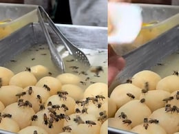 Viral Video Shows Vendor Selling Rasgullas With Bees Hovering Around Them Viral Video Shows Vendor Selling Rasgullas With Bees Hovering Around Them