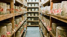 London Dairy Thankful For "Overwhelming" Support After Being Duped Of Cheese Over Rs 3 Crore
