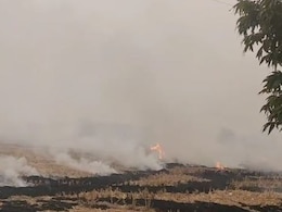 पराली जलाने के होते हैं हानिकारक प्रभाव, जानें इसे जलाने पर कैसे करें कंट्रोल? पराली जलाने के होते हैं हानिकारक प्रभाव, जानें इसे जलाने पर कैसे करें कंट्रोल?