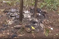 Bullet Shells, Medicines Recovered From Encounter Spot Following Major Crackdown On 'Red Terrorism' Bullet Shells, Medicines Recovered From Encounter Spot Following Major Crackdown On 'Red Terrorism'
