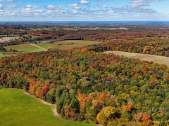 Papua New Guinea To Return To UN Climate Talks With Focus On 'Forest Conservation'