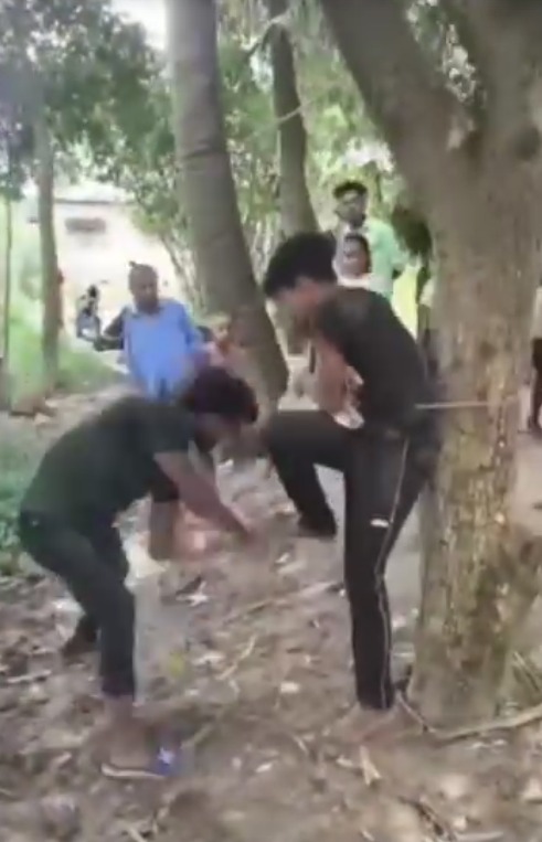 Man Tied To Tree, Beaten Over Suspicion Of Mobile Theft In Bihar