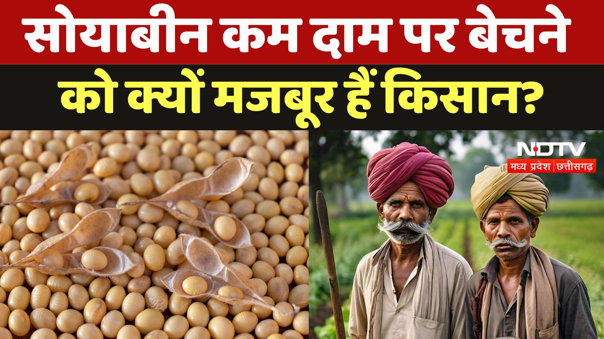 MP Soybean Price: सोयाबीन की खरीदी देर से शुरू होने से किसानों की बढ़ी चिंता
