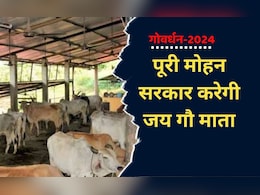 Govardhan Puja 2024: एमपी के सीएम समेत सभी मंत्री करेंगे गायों की पूजा, फैसले के पीछे ये दिया जा रहा तर्क Govardhan Puja 2024: एमपी के सीएम समेत सभी मंत्री करेंगे गायों की पूजा, फैसले के पीछे ये दिया जा रहा तर्क