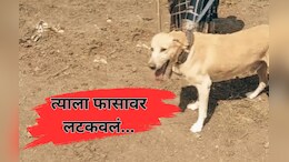 8 वर्षे जीव लावला अन् फासावर लटकवलं; मुळशीतील त्या घटनेवर आदित्य ठाकरेही संतापले!