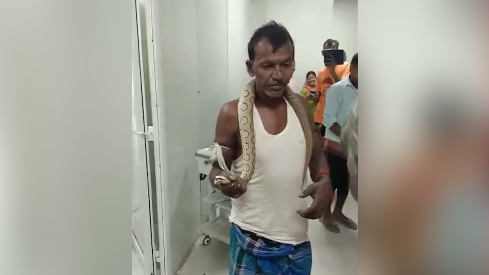 Video: Bihar Man Bitten By Snake Walks Into Hospital With Reptile In Hand