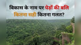 राजस्थान में हाइड्रो पावर प्लांट के लिए 1.19 लाख पेड़ों को काटने की तैयारी, लोग कर रहे विरोध