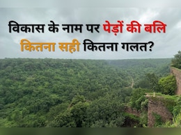 राजस्थान में हाइड्रो पावर प्लांट के लिए 1.19 लाख पेड़ों को काटने की तैयारी, लोग कर रहे विरोध