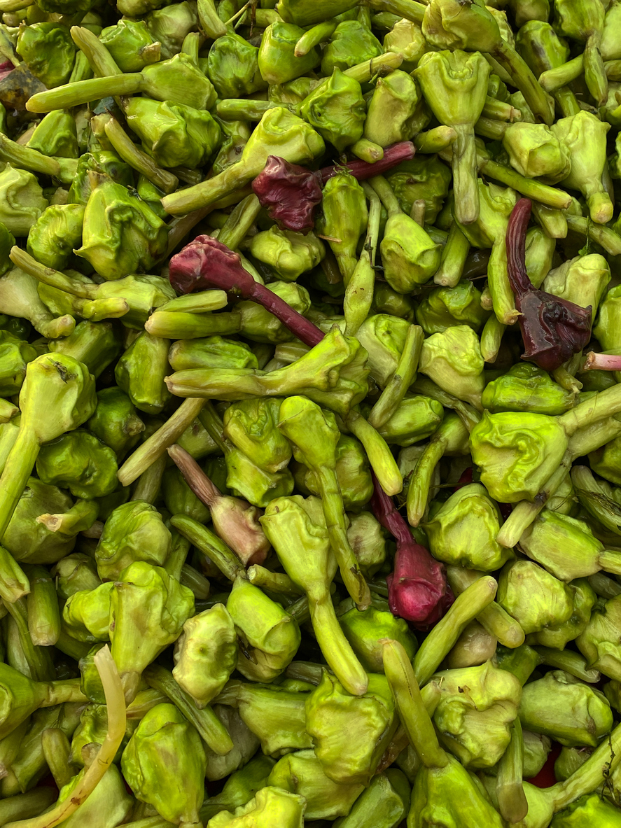 Singhada side effects: किन लोगों को भूलकर भी नहीं खाना चाहिए सिंघाड़ा?