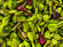 Singhada side effects: किन लोगों को भूलकर भी नहीं खाना चाहिए सिंघाड़ा?