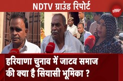 Haryana Assembly Elections: चुनाव में जाटव समाज की रहेगी भूमिका, देखें Palwal से NDTV Ground Report Haryana Assembly Elections: चुनाव में जाटव समाज की रहेगी भूमिका, देखें Palwal से NDTV Ground Report