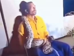 नशे में सांप भी दोस्त लगता है... पूरे शरीर में लिपट गया अजगर, फिर भी आराम से बैठा रहा शख्स, Video देख खड़े हो जाएंगे रोंगटे नशे में सांप भी दोस्त लगता है... पूरे शरीर में लिपट गया अजगर, फिर भी आराम से बैठा रहा शख्स, Video देख खड़े हो जाएंगे रोंगटे