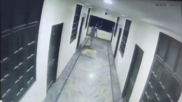 Student Chasing Dog Falls Off 3rd Floor Of Hyderabad Hotel, Dies