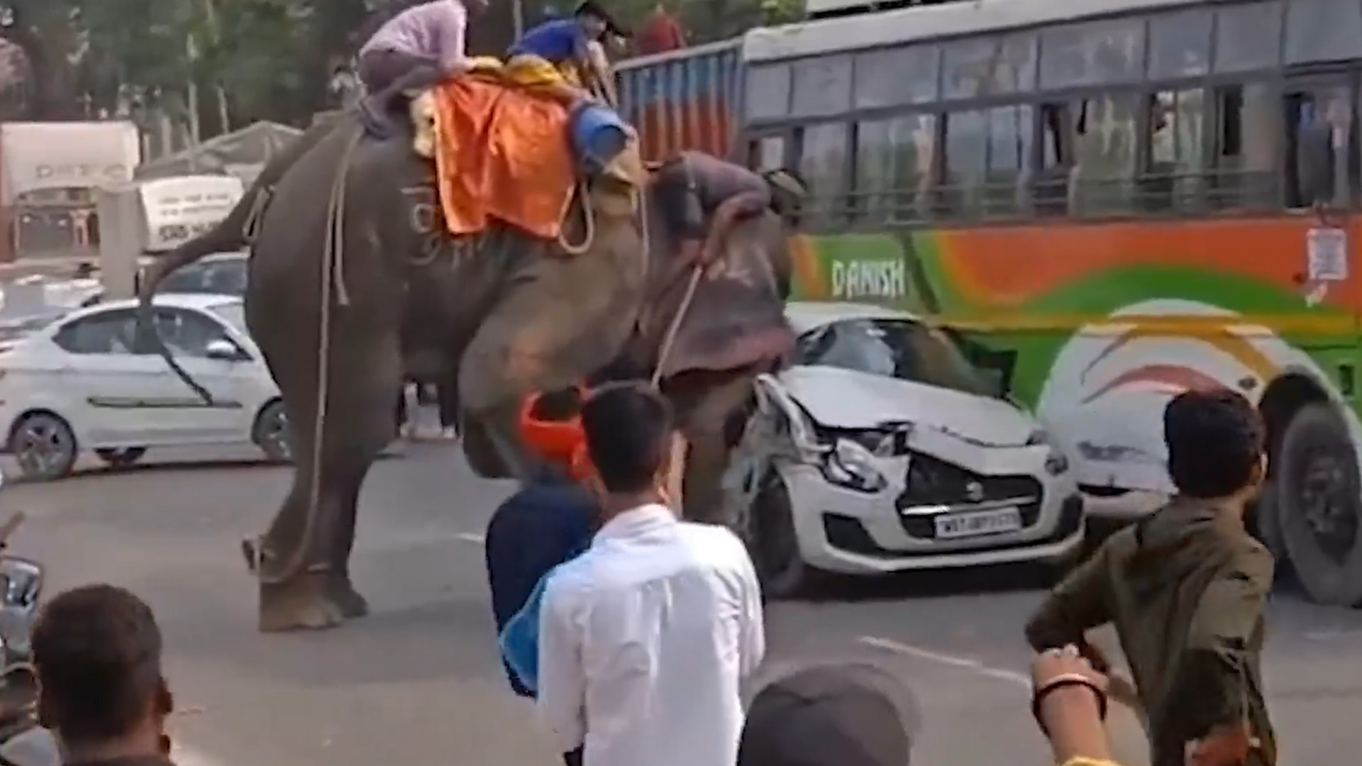 Chaos During Procession After Elephant Damages Vehicles in Bihar's Chapra